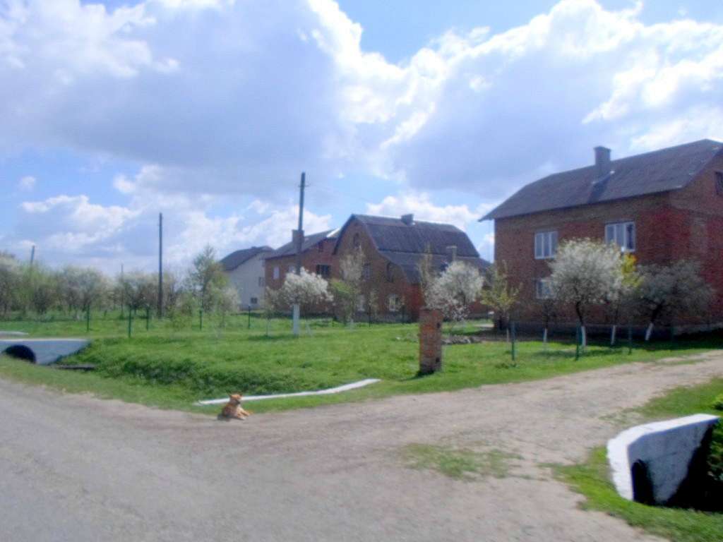 Краєвид - Sykhiv