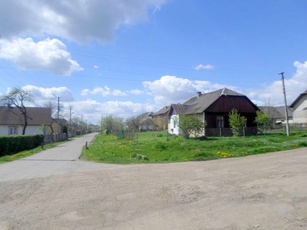 Краєвид - Лотатники