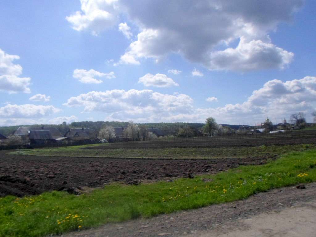 Краєвид - Лотатники