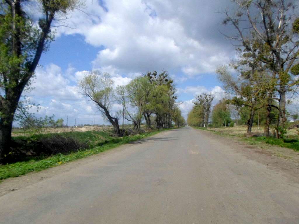 краєвид - Стрілків