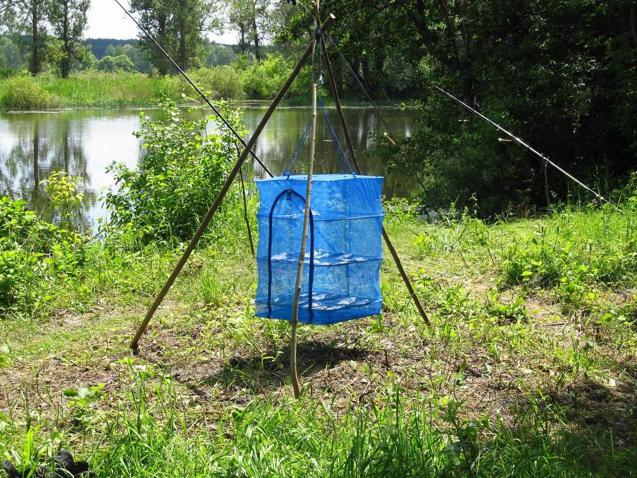 Літо-2016 - Бугруватка