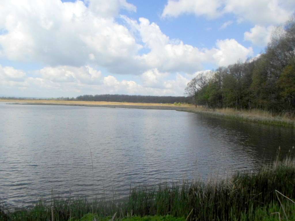 Рибгосп - Лани Соколівські