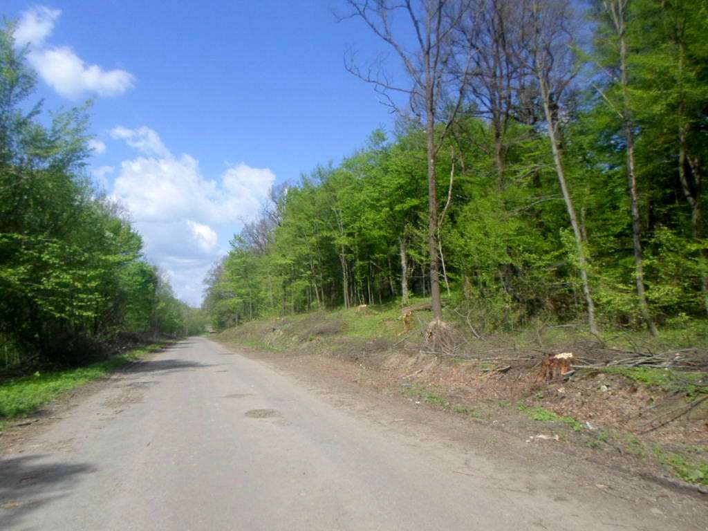Краєвид - Лотатники