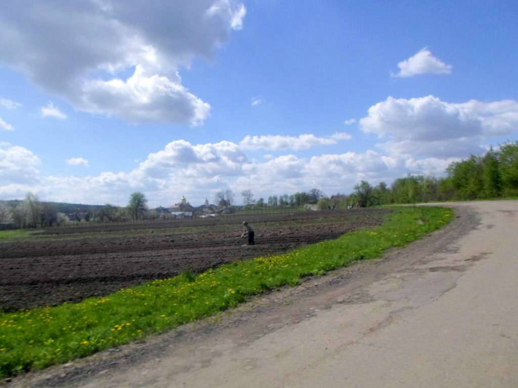 Краєвид - Лотатники