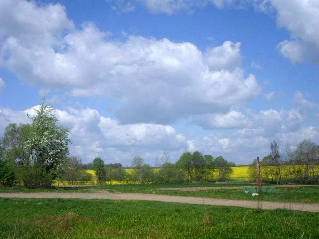 Краєвид - Лотатники