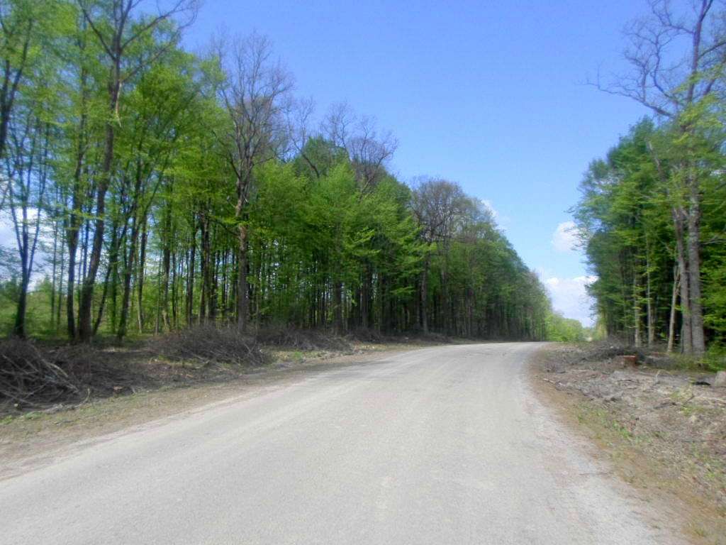 Краєвид - Сихів