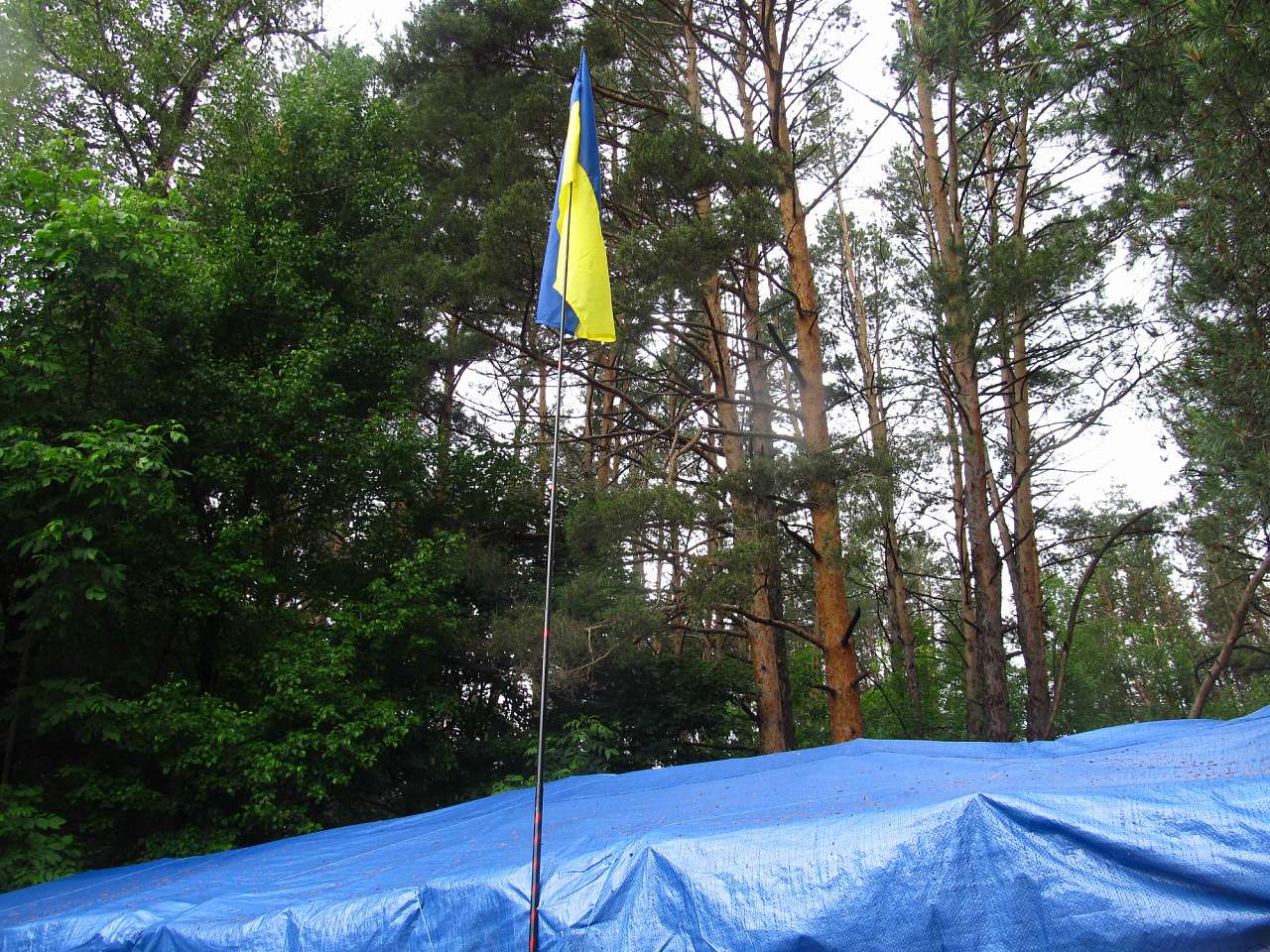 Літо-2016 - Бугроватка