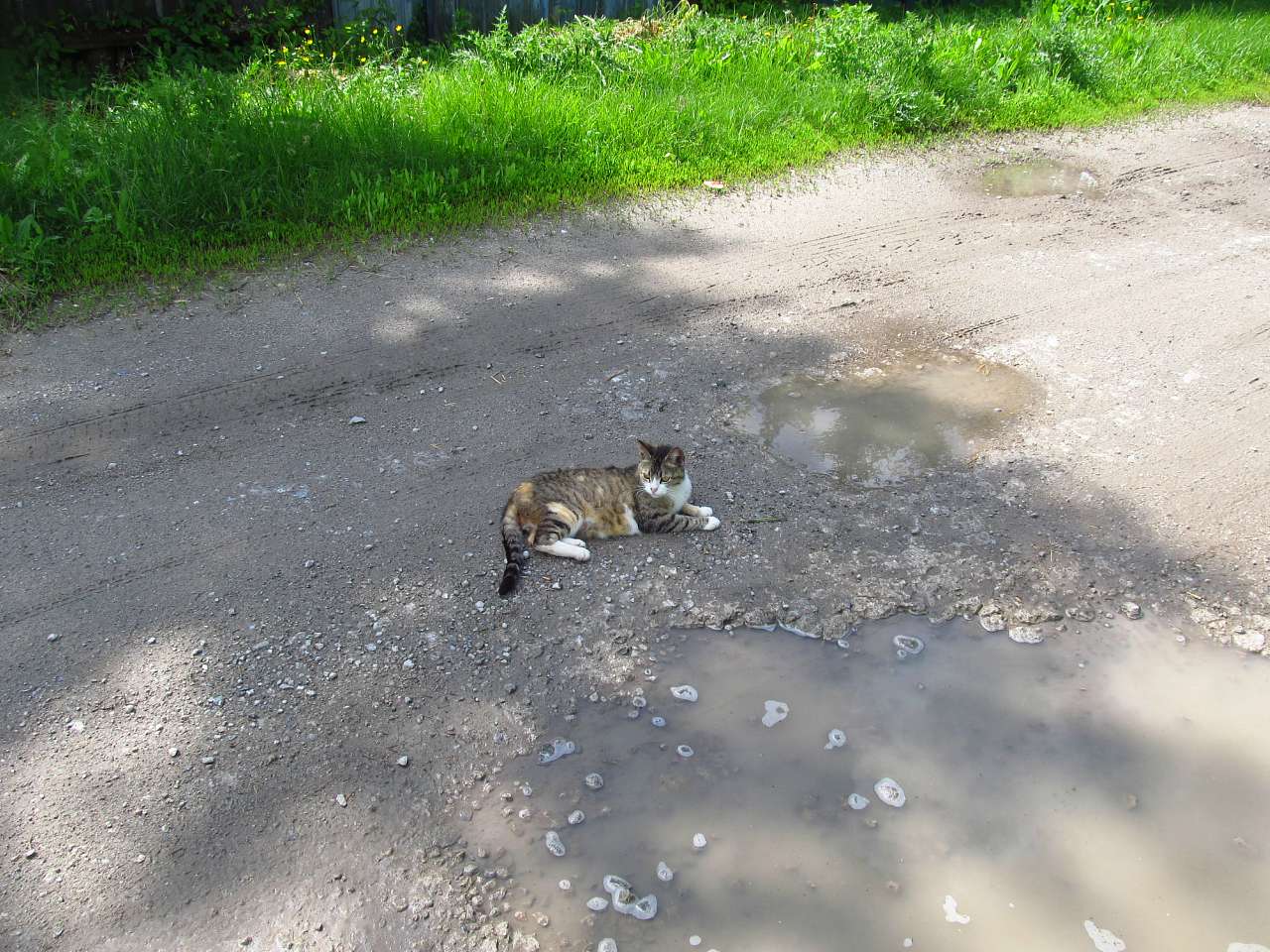Літо-2016 - Бугруватка