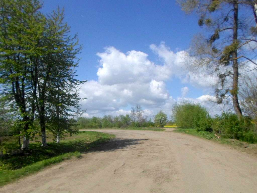 Краєвид - Лотатники