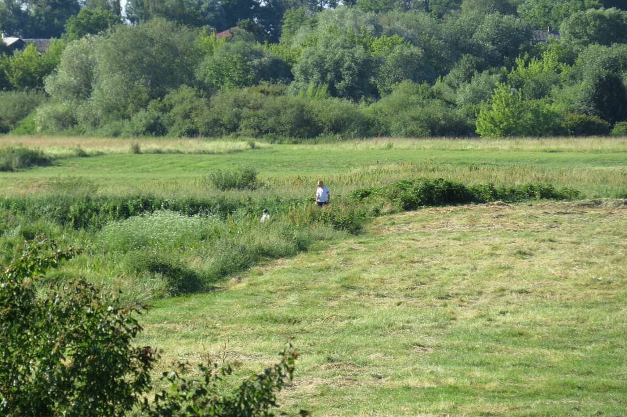 ДОРОГОБУЖ. ПЕРЕД ТРІЙЦЕЮ ПОНАД ГОРИННЮ. - Дорогобуж