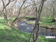 Черемшине - Останні фото