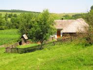 Маркова з panoramio.com