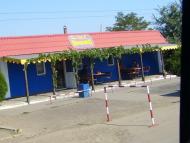 Старокозаче з panoramio.com