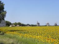 Вереміївка з panoramio.com