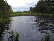 Мартинівка з panoramio.com