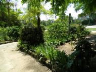 Заозерне з panoramio.com