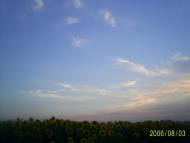 Відножине - Останні фото