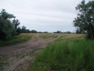 Василівка з panoramio.com