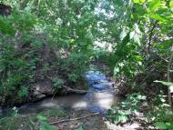 Карбівське з panoramio.com