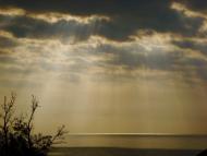 Підгородне з panoramio.com