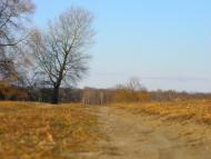 Новоселівка з panoramio.com