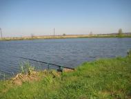 Пустомити - Останні фото