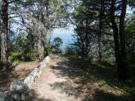 Курпати з panoramio.com