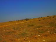 Кочергино - Последние фото