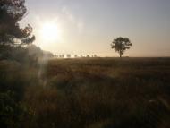 Туманська Гута з panoramio.com