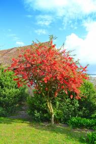 Соломоново з panoramio.com (ч.2)