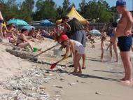 Седово - Последние фото