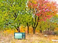 Стаханов з panoramio.com