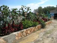 Чорноморське з panoramio.com