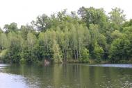 Буки з panoramio.com