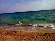 Молочне з panoramio.com