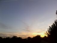 Новотимофіївка з panoramio.com