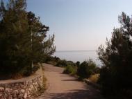 Тилове з panoramio.com