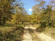 Многоріччя - Останні фото