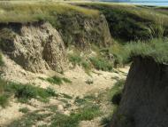 Орлівка з panoramio.com