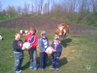 Врадіївка - Останні фото