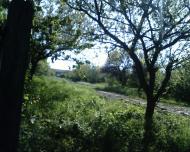 Завгороднее - Последние фото