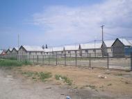 Седово - Последние фото