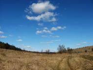 Domnytsya - Latest photos