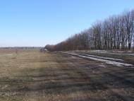 Росоша з panoramio.com