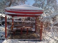 Трушівці з panoramio.com