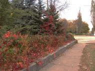 Добропілля з panoramio.com