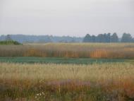 Полиці з panoramio.com