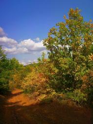 Богатир з panoramio.com