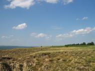 Орлівка з panoramio.com
