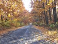 Пониква з panoramio.com